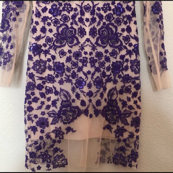 ✨✨ASOS Sheer Nude Purple Embroidered Dress✨✨ - Picture 3 of 7